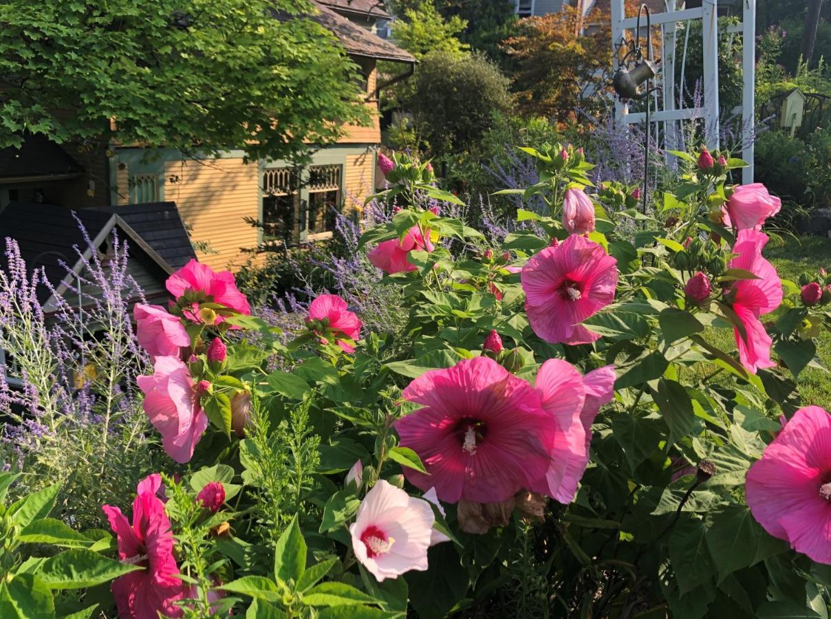The Queen, A Victorian Bed & Breakfast 벨폰테 외부 사진